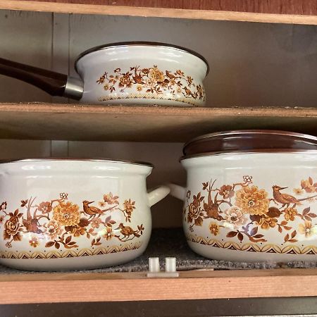 Karavan Na Louce Volenice  エクステリア 写真